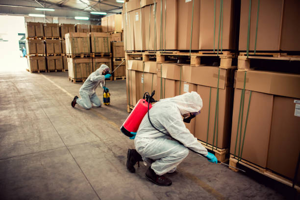 Trusted Albemarle, NC Pest Control Experts