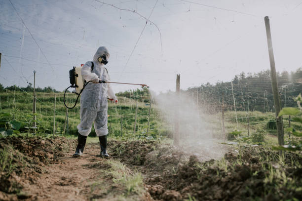 Best Best Pest Control Companies  in Albemarle, NC
