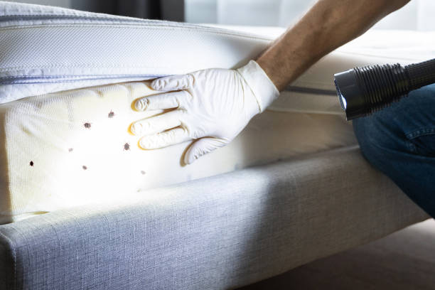 Pest Control Cost in Albemarle, NC
