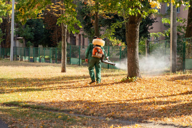 Best Bird Control  in Albemarle, NC